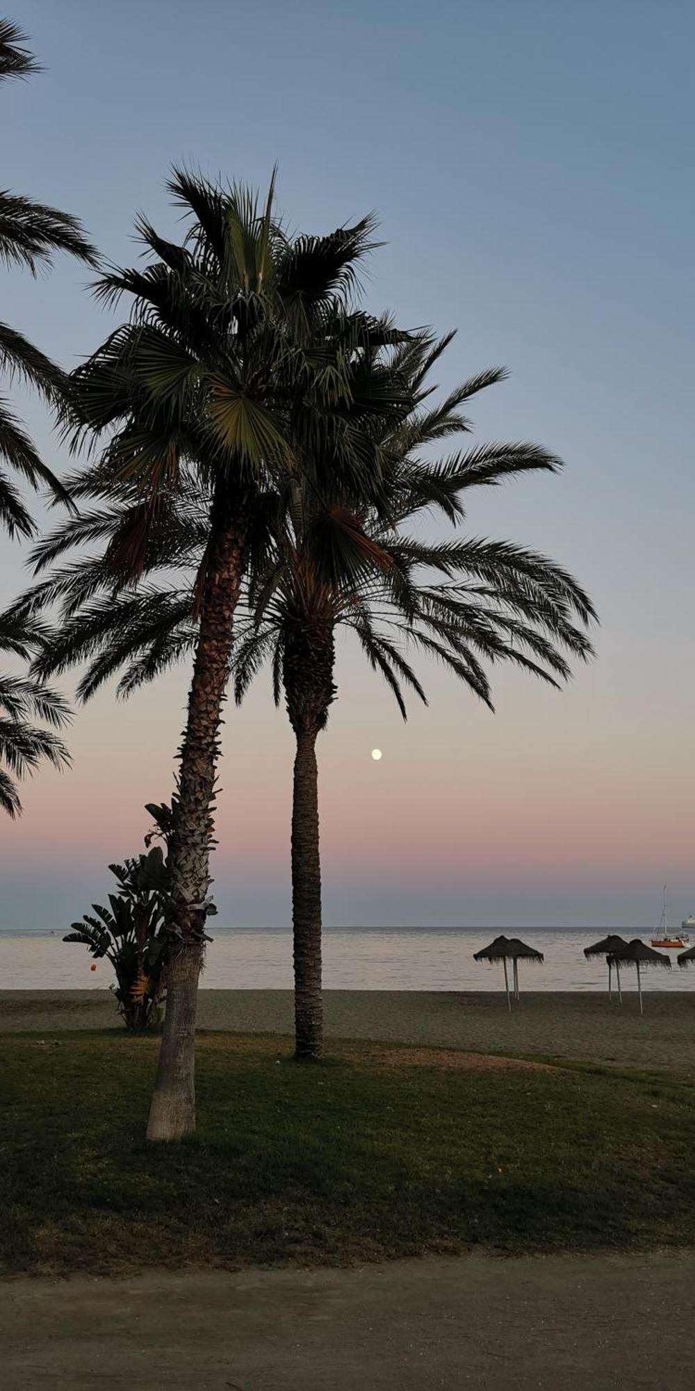 Encantador Bajo En Málaga Extérieur photo